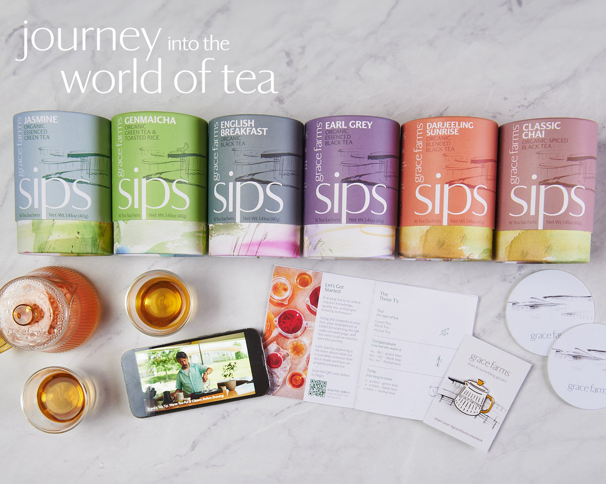 journey into the world of tea