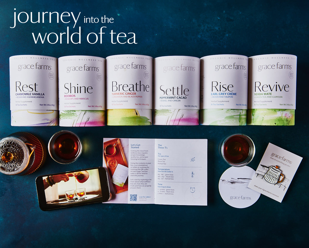 journey into the world of tea